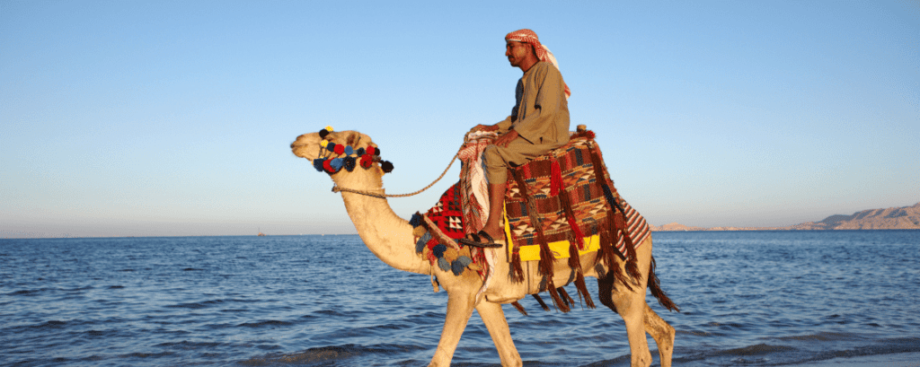 טיסות לשארם א-שייח' בטרווליסט